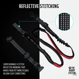 The Buddy System Reflective Leash System with Buddy Bag, Dual Handle and Hands Free Dog Leash for Walking, Running, Jogging and Training Service Dogs, Adjustable Belt Waist, One Size